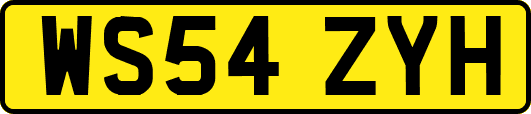 WS54ZYH