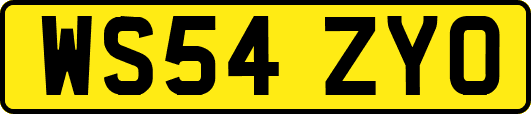 WS54ZYO
