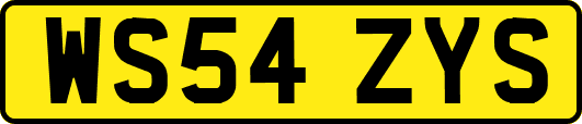 WS54ZYS