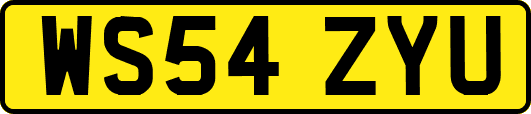 WS54ZYU