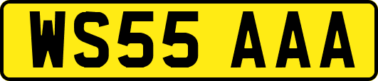 WS55AAA