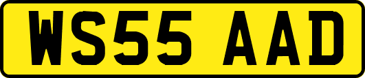 WS55AAD
