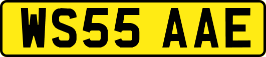 WS55AAE