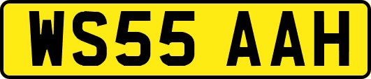 WS55AAH