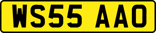 WS55AAO