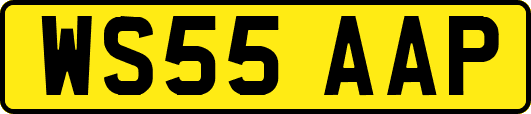 WS55AAP