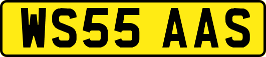 WS55AAS