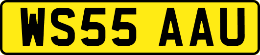 WS55AAU