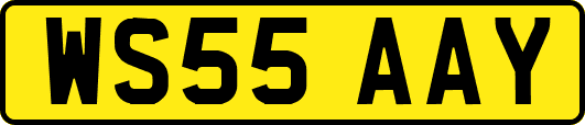 WS55AAY