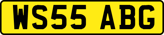 WS55ABG