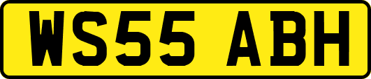 WS55ABH