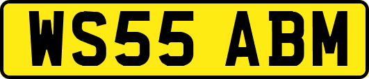 WS55ABM