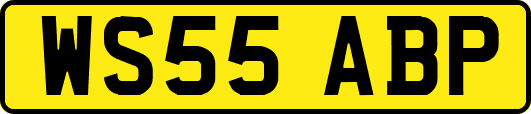 WS55ABP