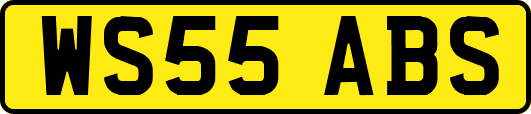 WS55ABS