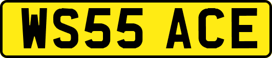 WS55ACE