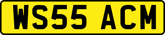 WS55ACM
