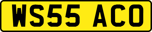 WS55ACO