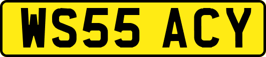 WS55ACY