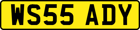 WS55ADY