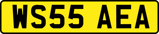 WS55AEA