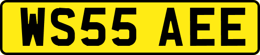 WS55AEE