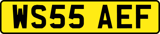 WS55AEF