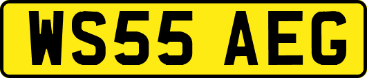 WS55AEG