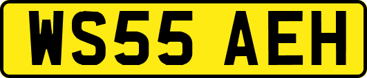 WS55AEH