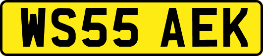 WS55AEK