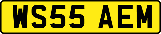 WS55AEM