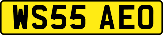 WS55AEO