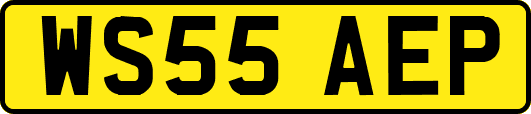 WS55AEP
