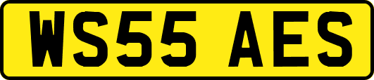 WS55AES