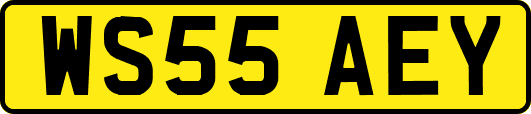WS55AEY