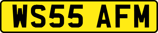 WS55AFM