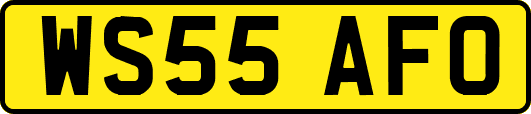 WS55AFO