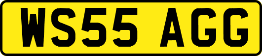 WS55AGG