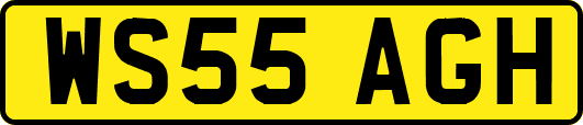 WS55AGH