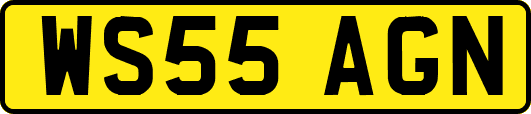 WS55AGN