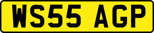 WS55AGP