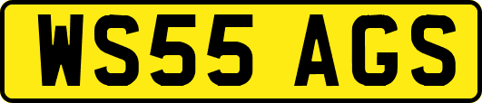 WS55AGS