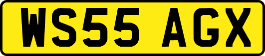 WS55AGX