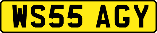 WS55AGY