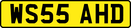 WS55AHD