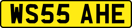 WS55AHE