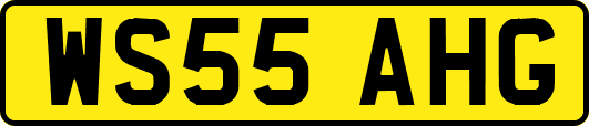 WS55AHG