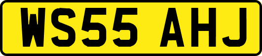 WS55AHJ