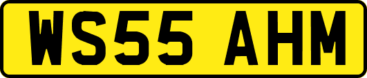 WS55AHM
