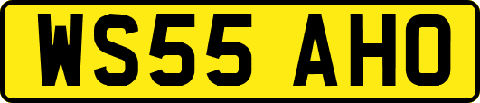 WS55AHO