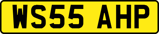 WS55AHP